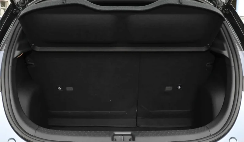 
								BYD Dolphin full									