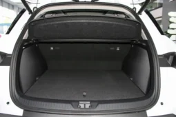 BYD Sea Lion 05 DM