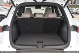 BYD Song Pro DM 2024