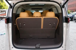 Denza D9 EV