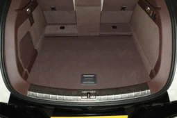 Denza Z9GT DM