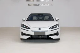 Denza Z9GT DM
