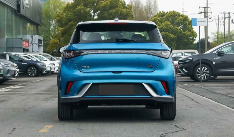 
								BYD Dolphin full									