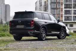 GAC Trumpchi GS8